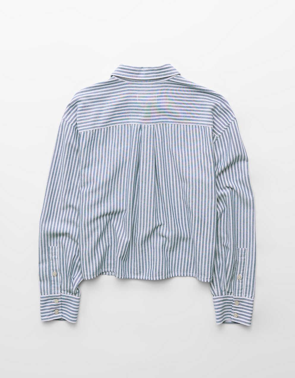 AE Cropped Button Up Shirt