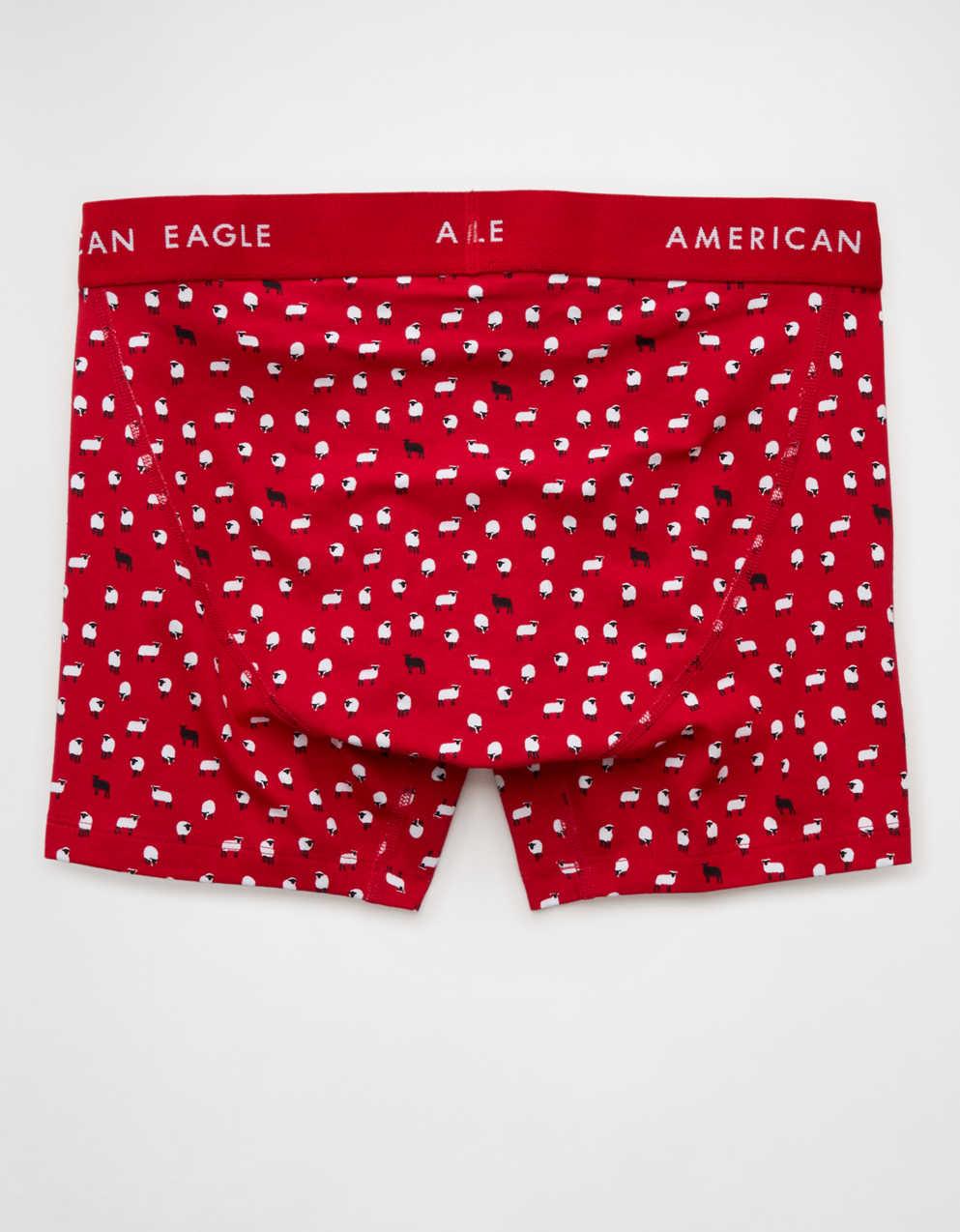 AEO 남성용 4.5' 클래식 복서 브리프