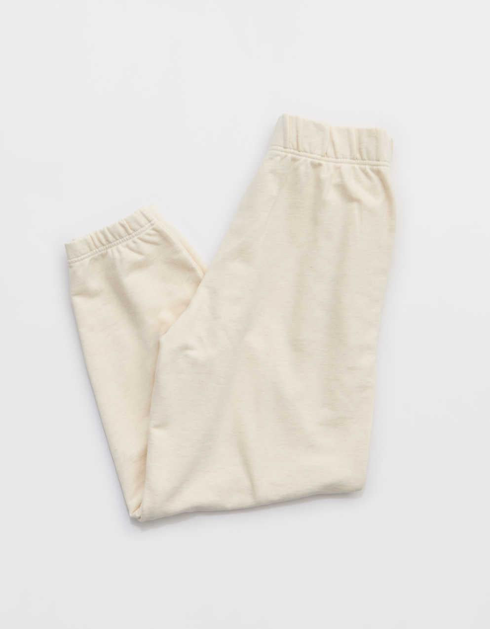 Aerie 제트 세터 조거
