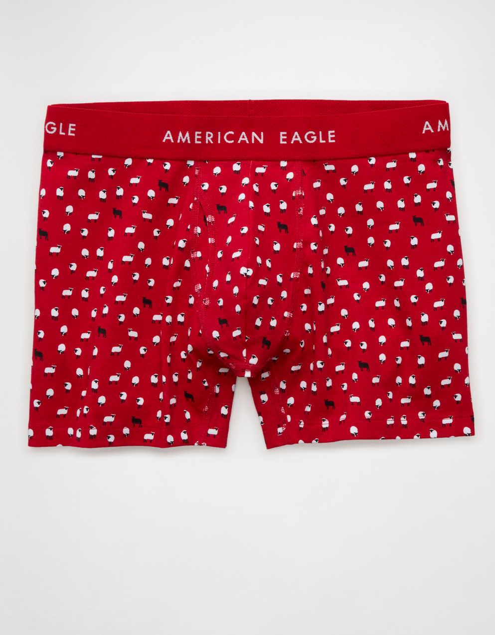 AEO 남성용 4.5' 클래식 복서 브리프
