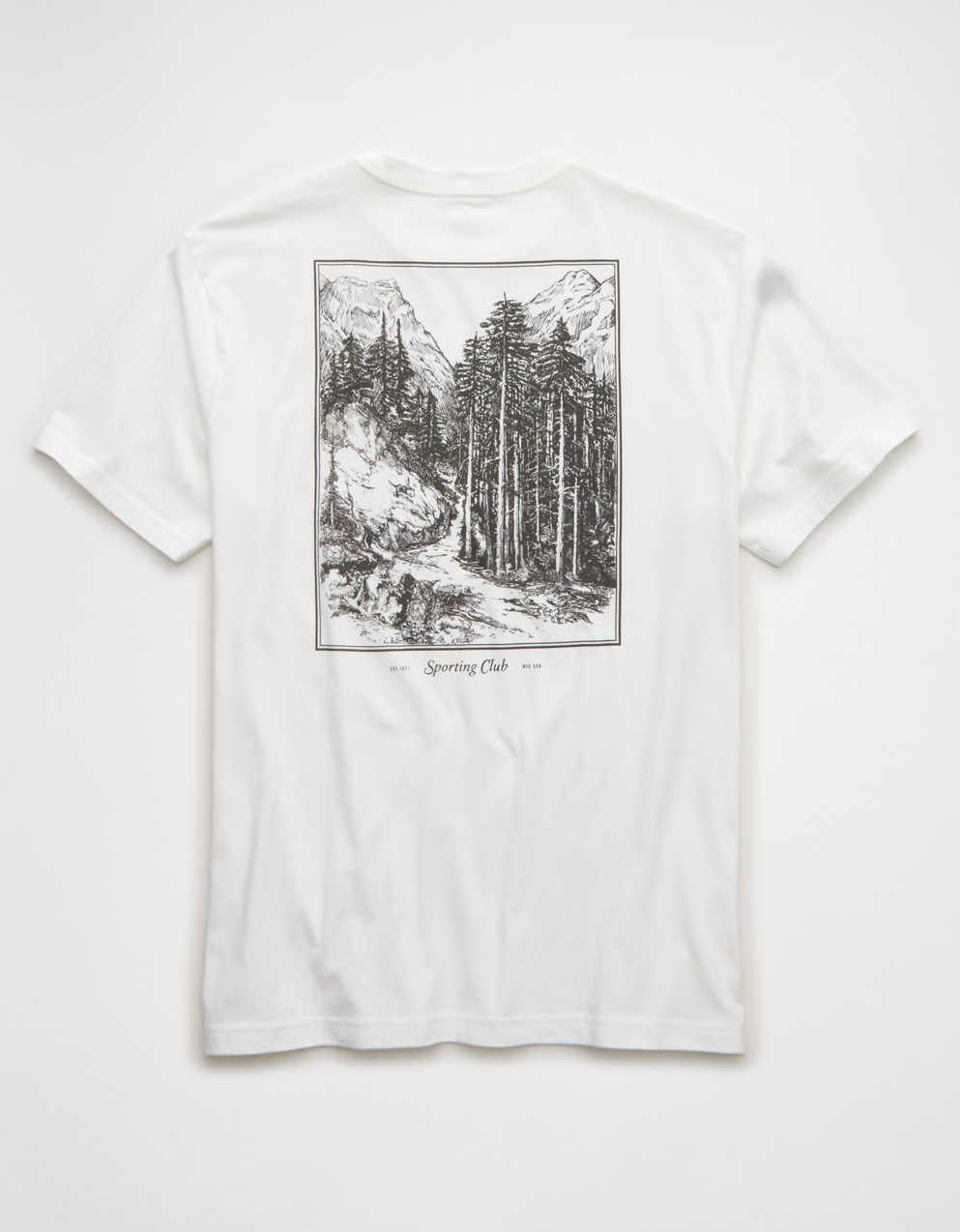 AE Standard Fit Logo Graphic T-Shirt