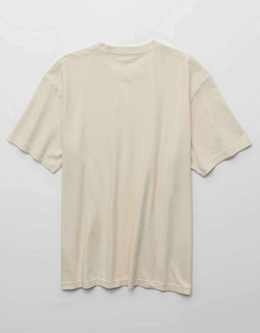 AE Standard Fit Graphic T-Shirt