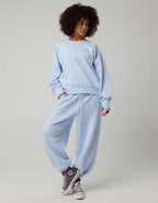 OFFLINE By Aerie Cloud Fleece Classic Crewneck Sweatshirt