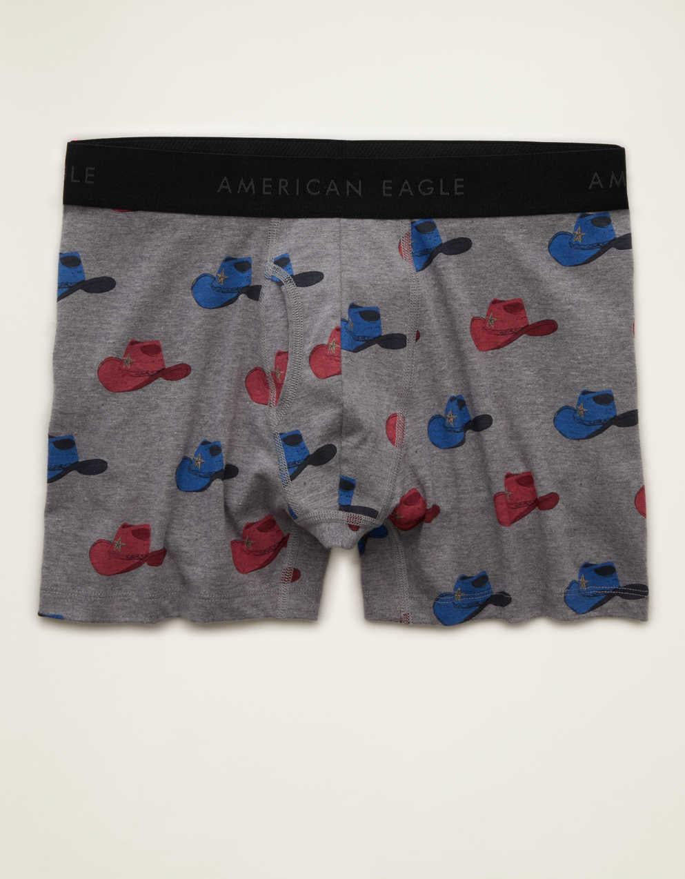AEO Men's 4.5" Classic Boxer Brief