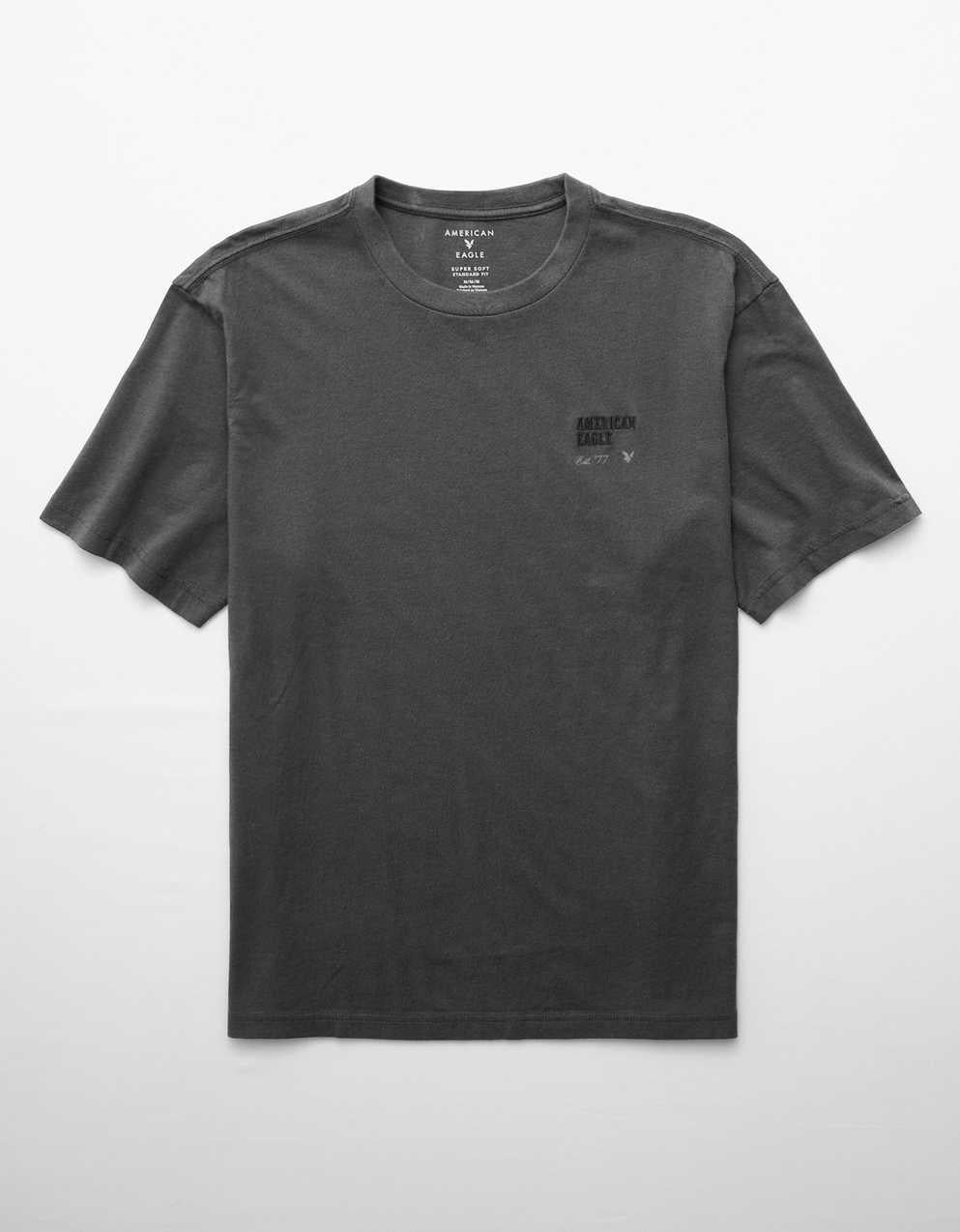 AE Standard Fit Logo Graphic T-Shirt