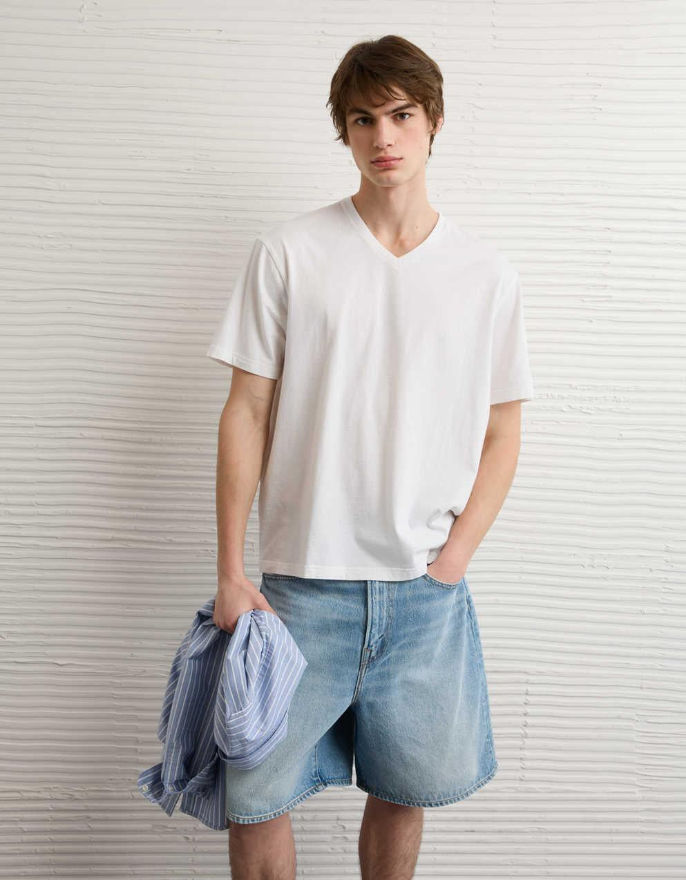 AE Standard Fit Lived-In V-Neck T-Shirt