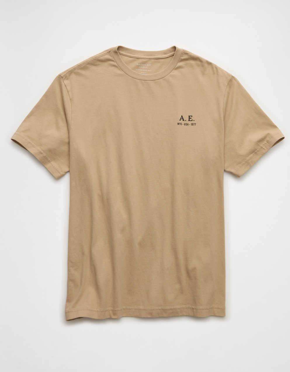 AE Standard Fit Logo Graphic T-Shirt